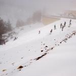 Дети и взрослые катаются на снегу